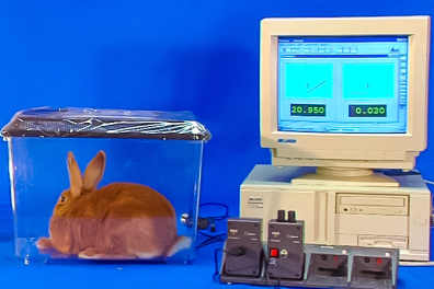 Les échanges gazeux respiratoires - 8mn 21s